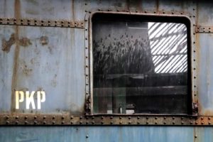 Fot. ELżbieta Zawadzka_05