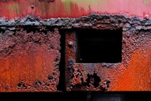 Fot. ELżbieta Zawadzka_07