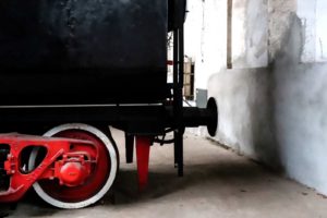 Fot. ELżbieta Zawadzka_09