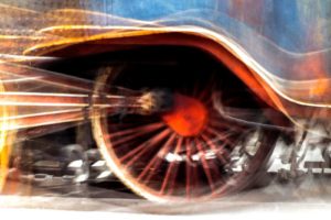 Fot. ELżbieta Zawadzka_10