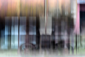 Fot. ELżbieta Zawadzka_11