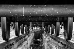 Fot. ELżbieta Zawadzka_14