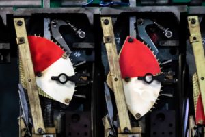 Fot. ELżbieta Zawadzka_16