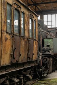 Fot. Elżbieta Kajzer_28