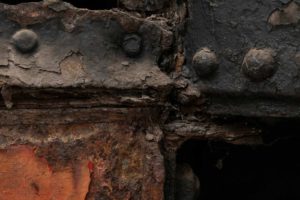 Fot. Elżbieta Kajzer_40