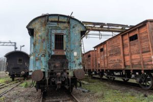 Fot. Elżbieta Kajzer_46