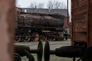 Fot. Elżbieta Kajzer_48