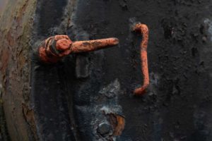 Fot. Elżbieta Krysiak_01