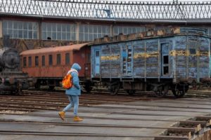 Fot. Elżbieta Krysiak_13