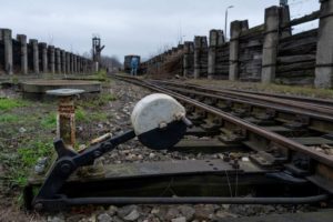 Fot. Elżbieta Krysiak_18