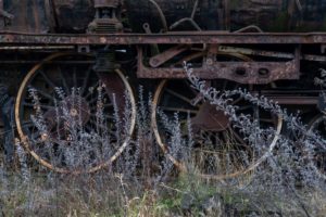 Fot. Elżbieta Krysiak_20