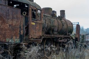 Fot. Elżbieta Krysiak_21