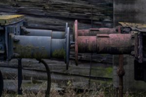 Fot. Elżbieta Krysiak_22