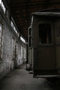 Fot. Hania Krzyżewska_07