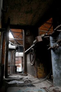 Fot. Hania Krzyżewska_12