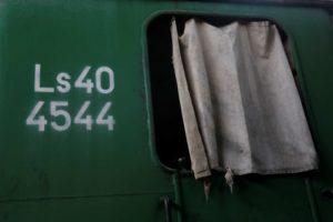 Fot. Hania Krzyżewska_14