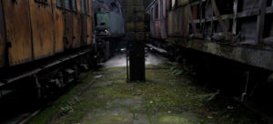 Fot. Hania Krzyżewska_16