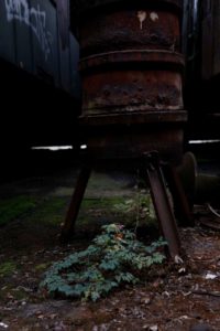 Fot. Hania Krzyżewska_17