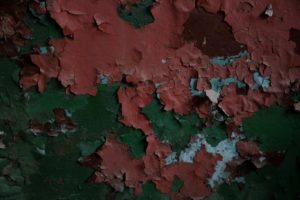 Fot. Hania Krzyżewska_18