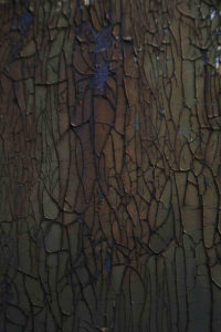 Fot. Hania Krzyżewska_19