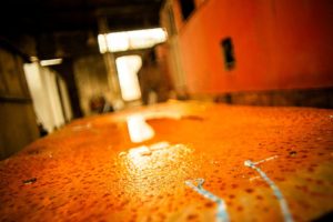 Fot. Jerzy Kołodziejski_03