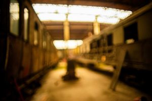 Fot. Jerzy Kołodziejski_12