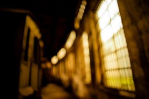 Fot. Jerzy Kołodziejski_14