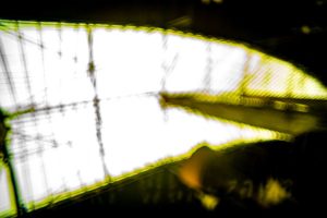 Fot. Jerzy Kołodziejski_19