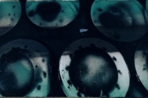 Fot. Kaja Krawczyk_02