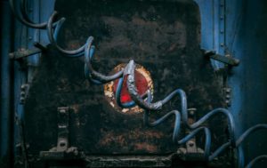 Fot. Kaja Krawczyk_12