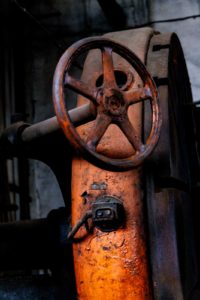 Fot. Karina Krużyk_02