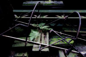 Fot. Karina Krużyk_03