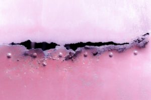 Fot. Karina Krużyk_08