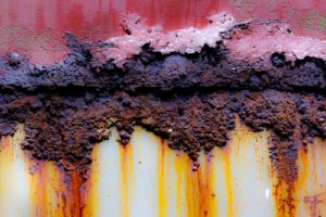 Fot. Karina Krużyk_09