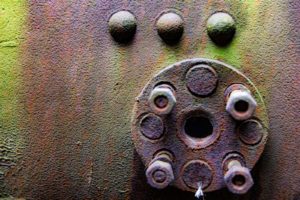 Fot. Karina Krużyk_13