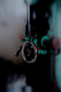 Fot. Karina Krużyk_15