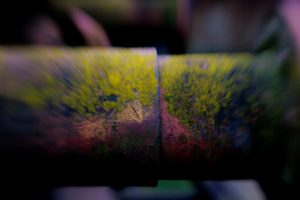 Fot. Karina Krużyk_19