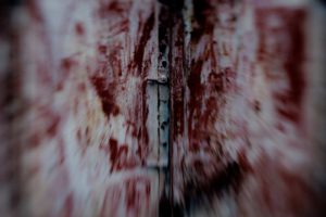 Fot. Karina Krużyk_24