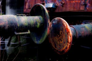 Fot. Karina Krużyk_25