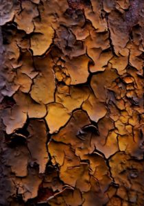 Fot. Marta Michalska_02