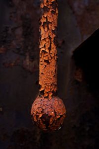 Fot. Marta Michalska_06