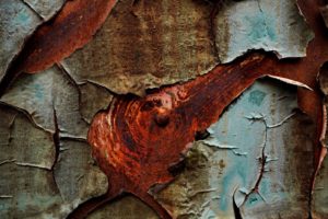 Fot. Marta Michalska_11