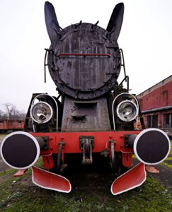 Fot. Marta Michalska_14