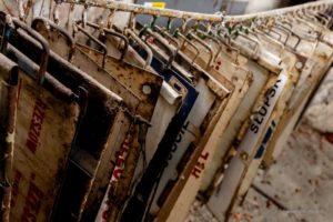 Fot. Magdalena Skrzyńska_11