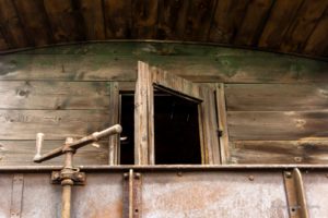 Fot. Magdalena Skrzyńska_15