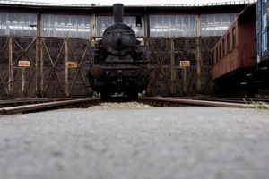 Fot. Magdalena Skrzyńska_18