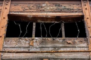 Fot. Magdalena Skrzyńska_21