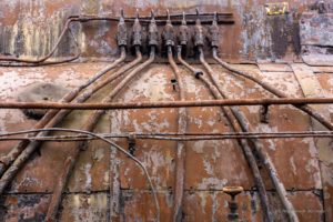 Fot. Magdalena Skrzyńska_22