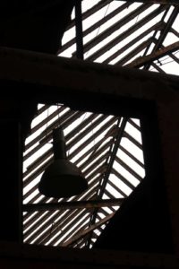 Fot. Monika Kołodziejska_06