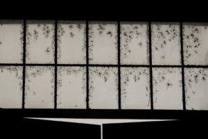 Fot. Monika Kołodziejska_08